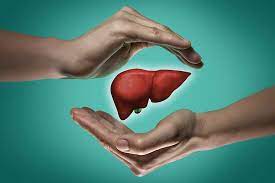active-liver-wat-is-gebruiksaanwijzing-recensies-bijwerkingen